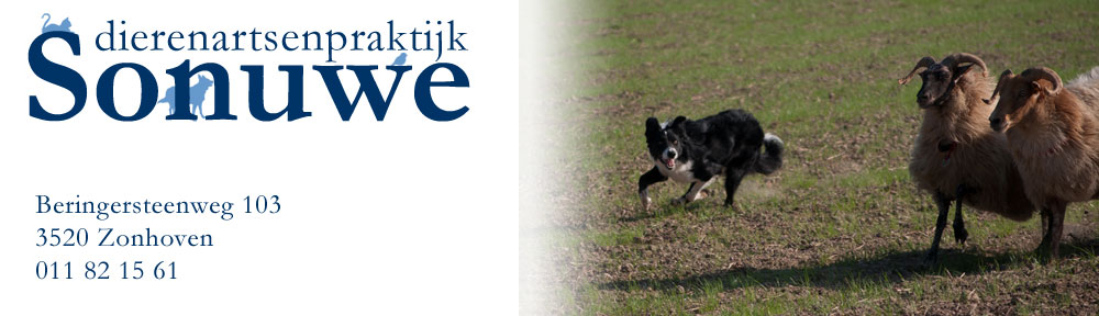 Sonuwe