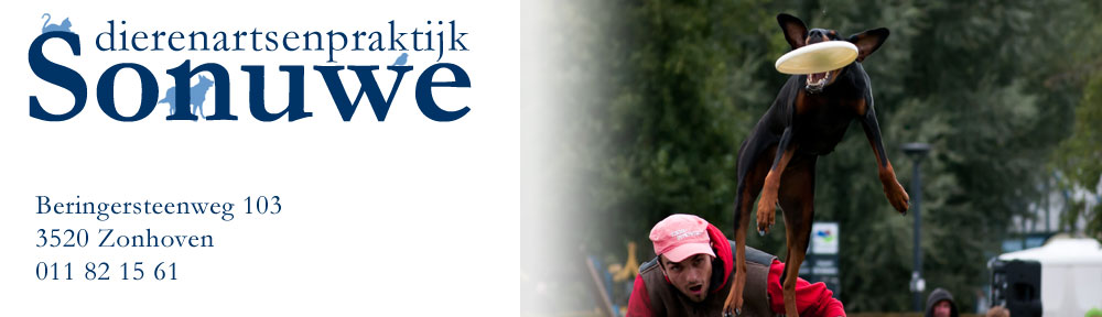 Sonuwe